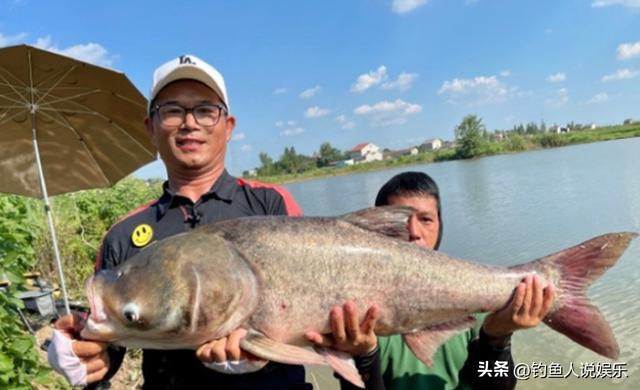 全国钓鱼大师排名（全国钓鱼大师排名积分）