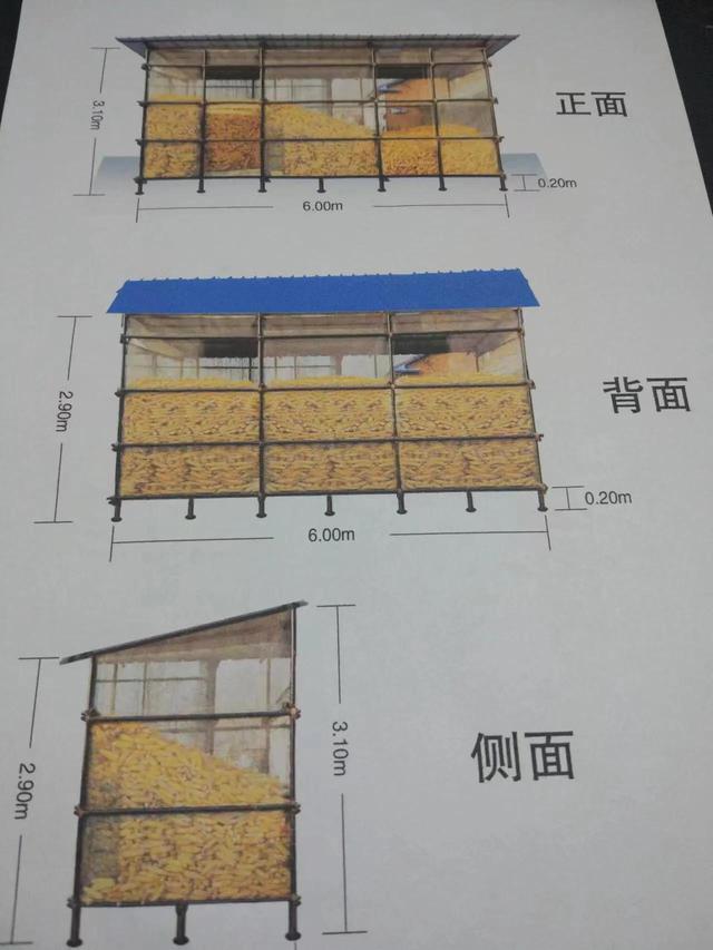 玉米怎么保存新鲜时间长（带皮玉米怎么保存新鲜时间长）